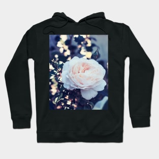 Mild delicate rose image Hoodie